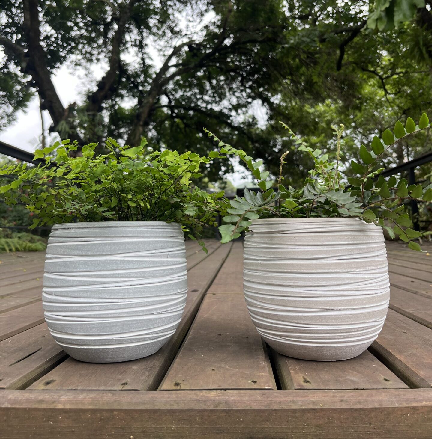 IMG_1385 Handmade Neutral White Stripped Pots - Image 1