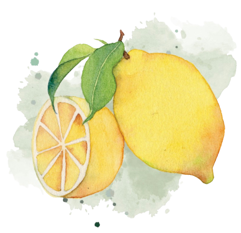 Lemons Fruit Trees - Lemons - Eureka - Image 1